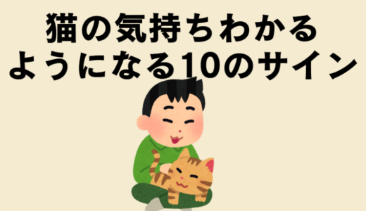 雑種猫の「鳴き声」でわかる気持ちサイン10選