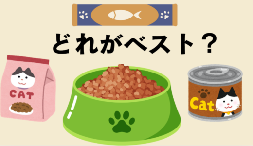 雑種猫に最適な餌の選び方【初心者向けガイド】