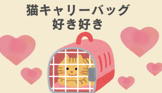 雑種猫がキャリーバッグを嫌がらないしつけのポイント5選