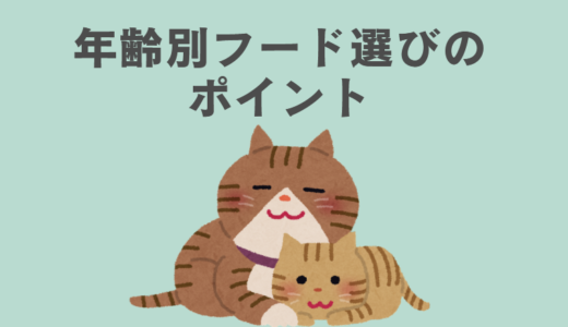 雑種猫の年齢別フード選びのポイント【子猫からシニア猫まで】