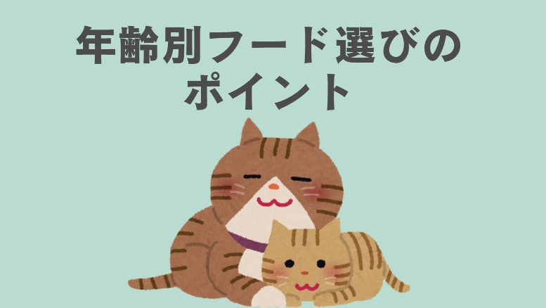 雑種猫の年齢別フード選びのポイント