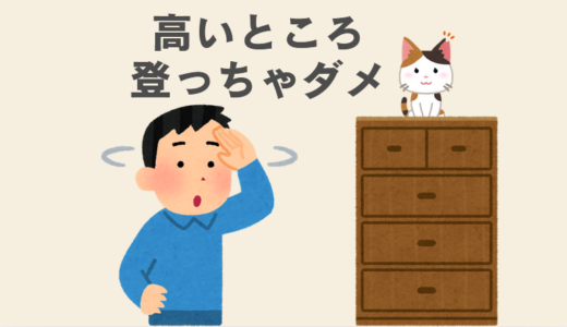 雑種猫が高い場所に登るのをやめさせるしつけ法【初心者必見】