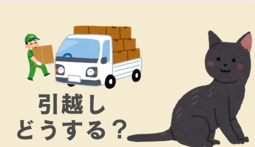 雑種猫と一緒に引越しを成功させるコツ