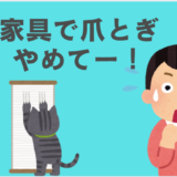 雑種猫が家具で爪とぎをする時のしつけ