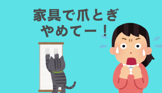 雑種猫が家具で爪とぎをする時のしつけ方法とおすすめグッズ