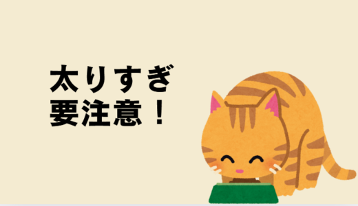 雑種猫が太りすぎないための低カロリーフードと食事管理術