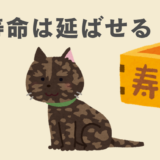 雑種猫　長寿　寿命　延ばす