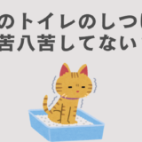 雑種猫　トイレしつけ　トイレトレーニング