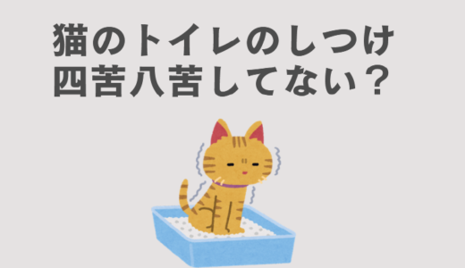 雑種猫のトイレしつけ・トイレトレーニング完全ガイド【初心者向け】