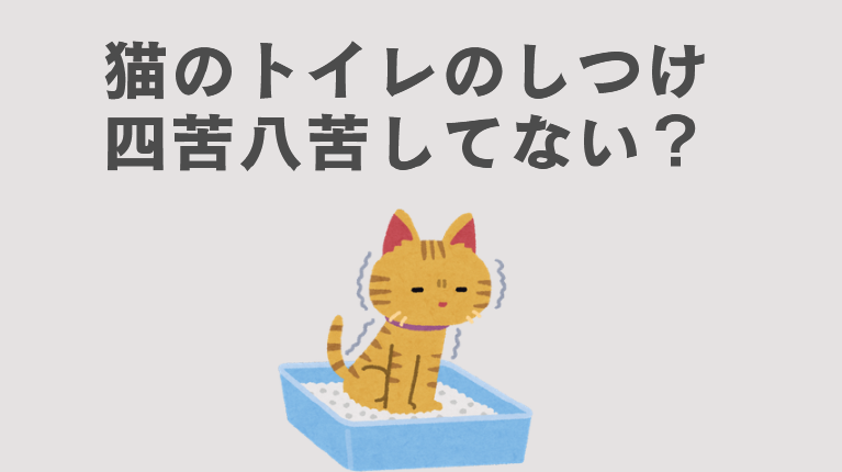 雑種猫　トイレしつけ　トイレトレーニング