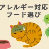 アレルギー対応フード　雑種猫