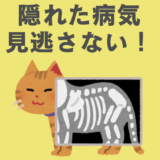 雑種猫　隠れた病気