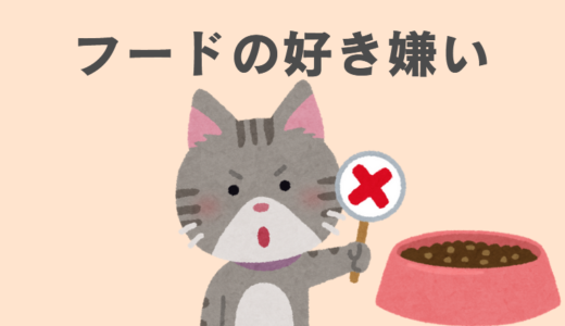 雑種猫が好き嫌いをする時の対処法とおすすめフード