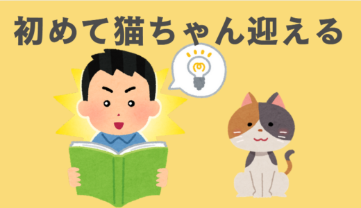 初めて雑種猫を迎える前に読むべきガイド